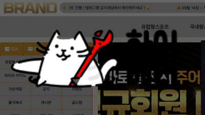 브랜드 먹튀