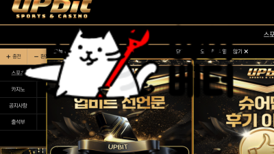 업비트 먹튀