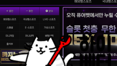 퓨어벳 먹튀