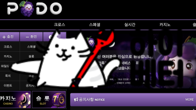 포도 먹튀