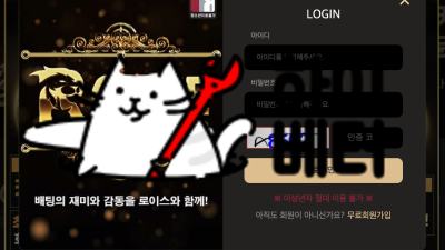 로이스 먹튀