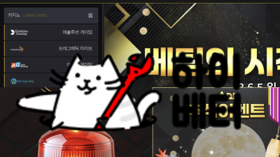 애드 먹튀