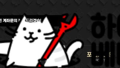 나인볼 먹튀