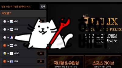 펠릭스카지노 먹튀